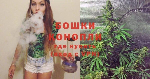 твердый Бородино