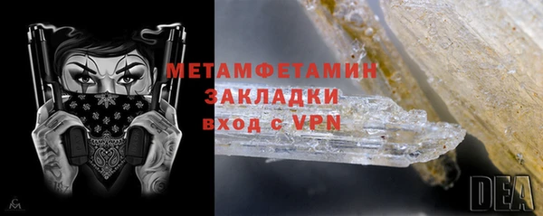 твердый Бородино