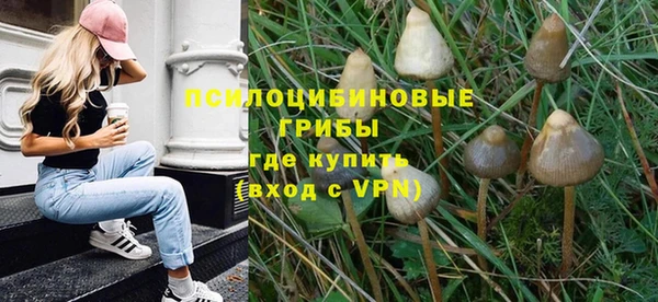 стафф Бронницы