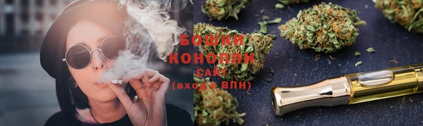 твердый Бородино