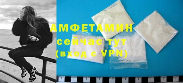 твердый Бородино