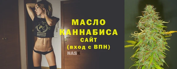 твердый Бородино