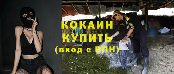 твердый Бородино