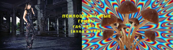 2c-b Бугульма