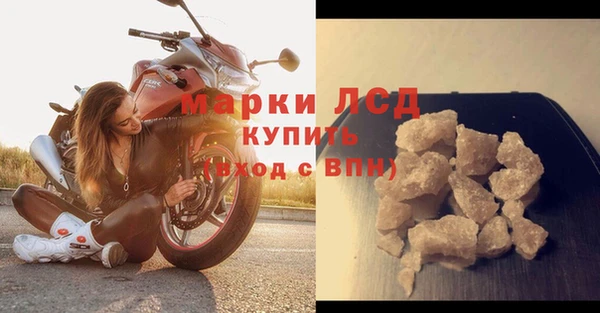 твердый Бородино