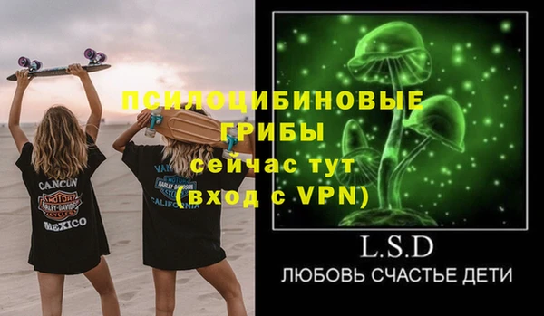 твердый Бородино